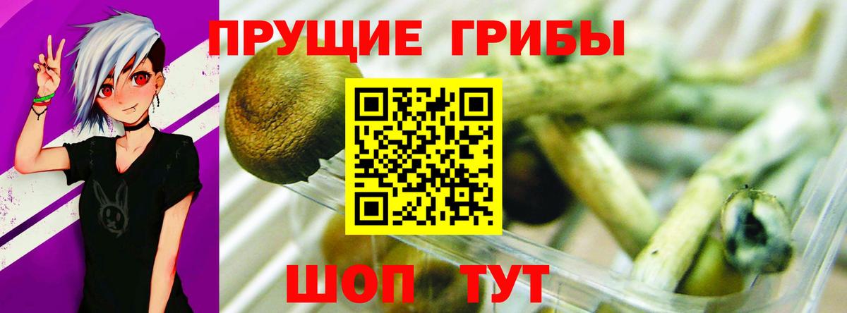 Пугачёв  Галлюциногенные грибы MAGIC MUSHROOMS  Галлюциногенные грибы ЛСД  Вход с VPN 